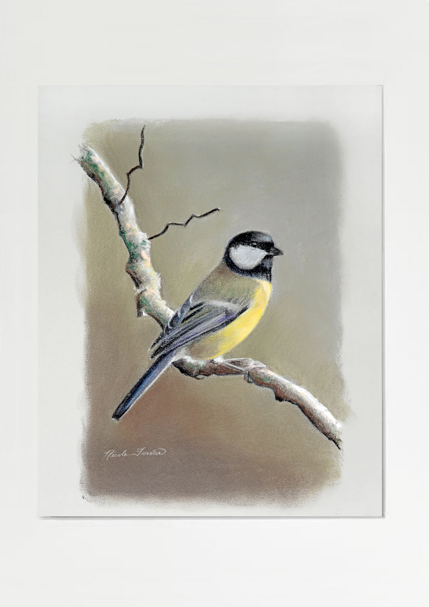 Nicole Forster; Blue Tit