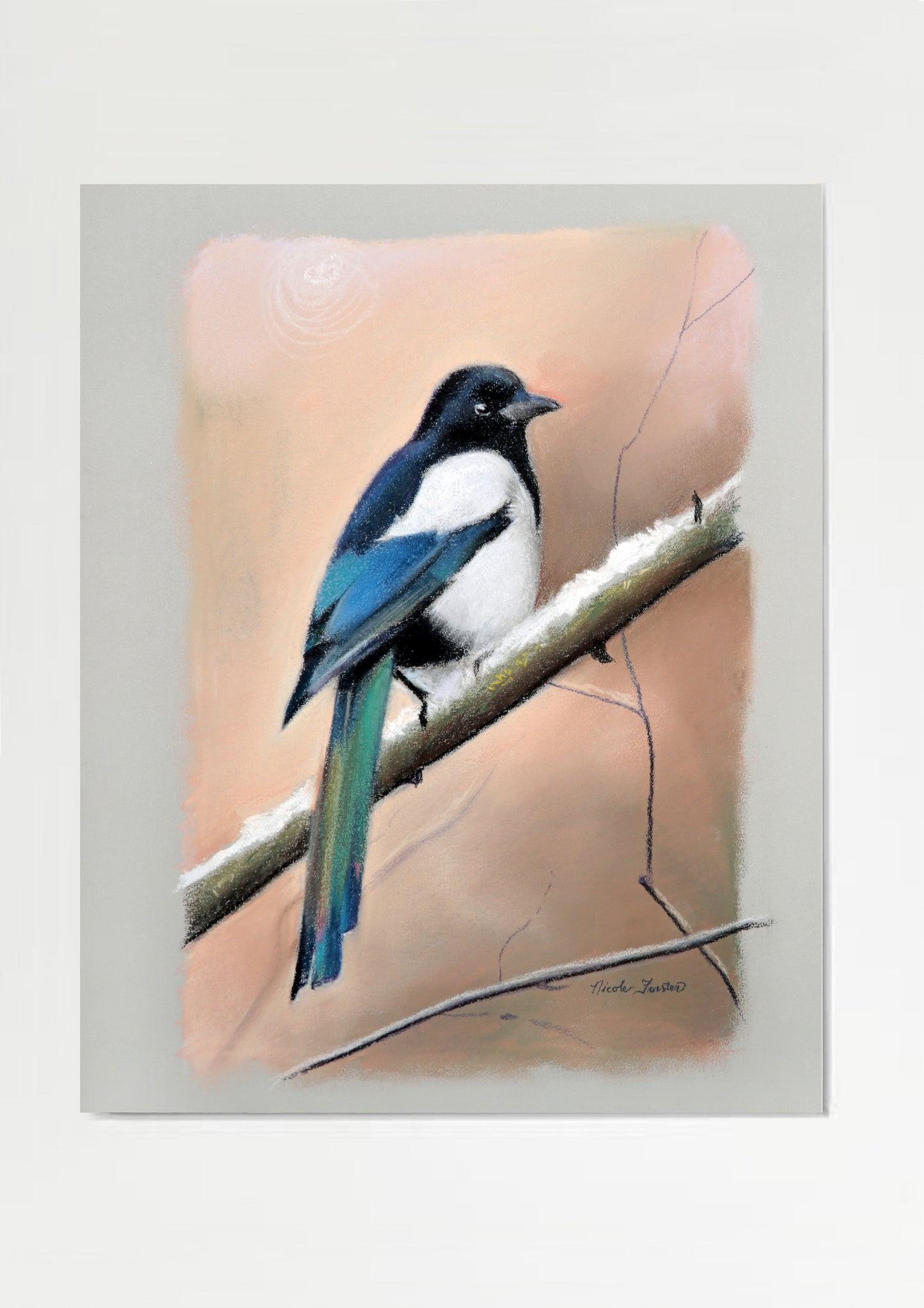 Nicole Forster; Magpie