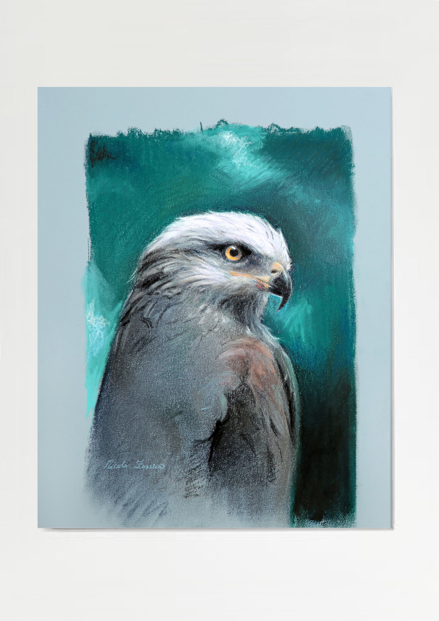 Nicole Forster; Hawk