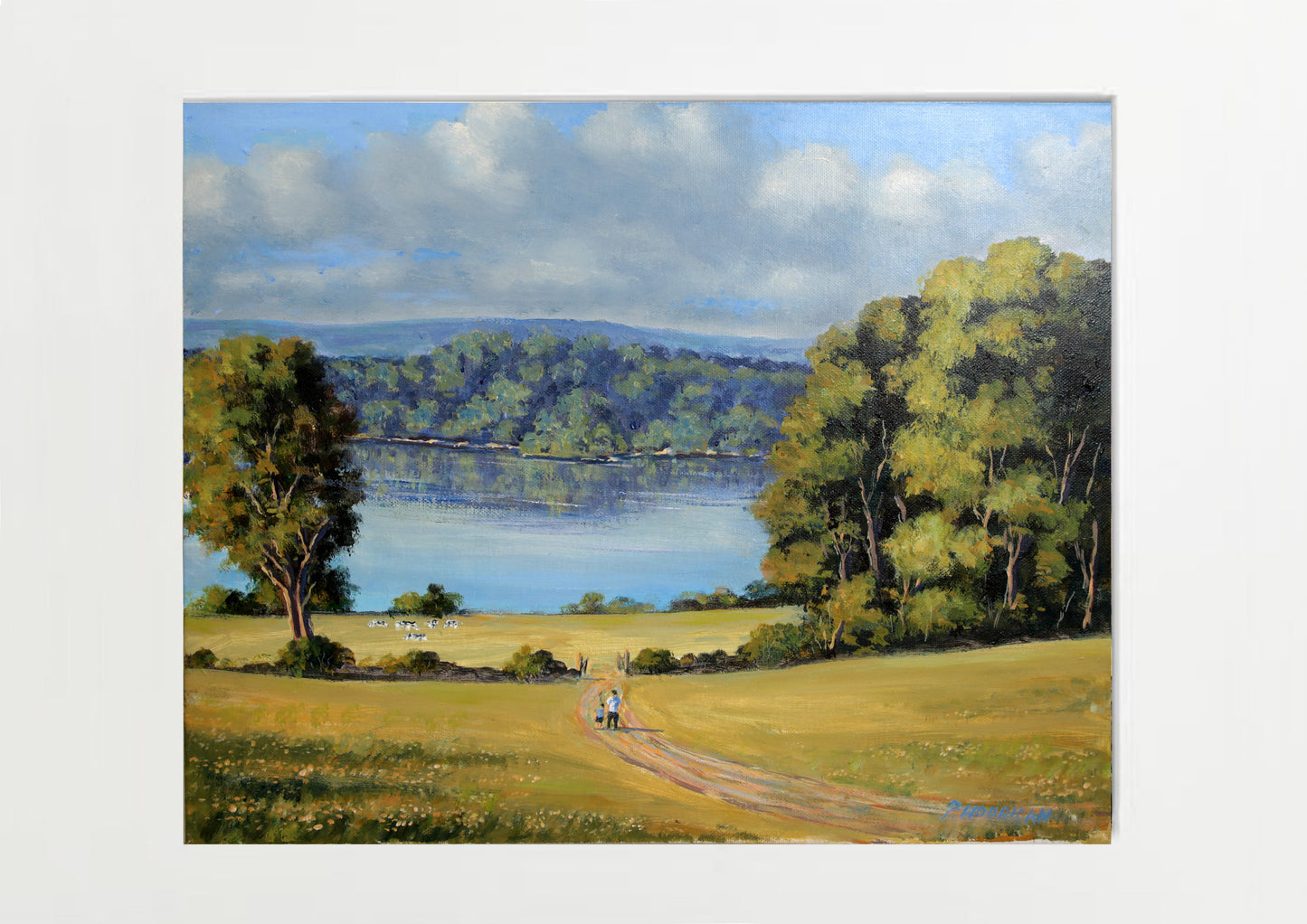 Pat Hourican; Lough Gowna, Longford