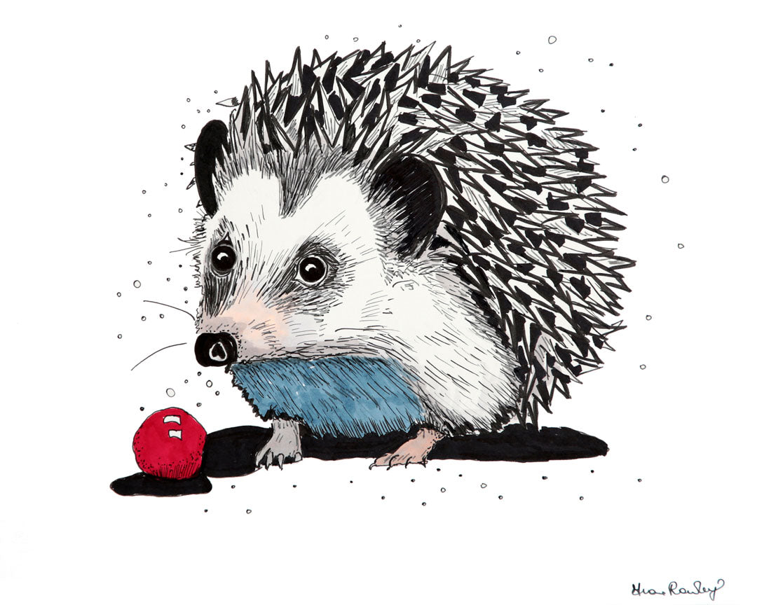Hedgehog