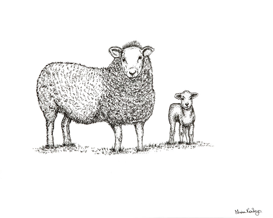 Ewe and Lamb
