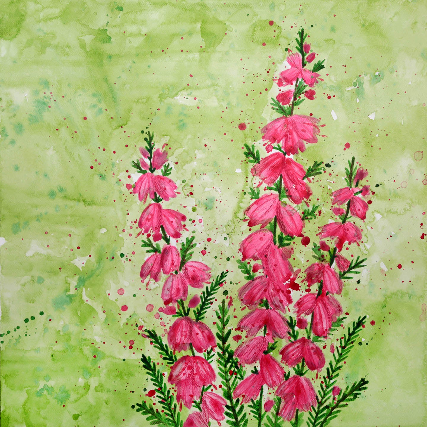 Fox Glove