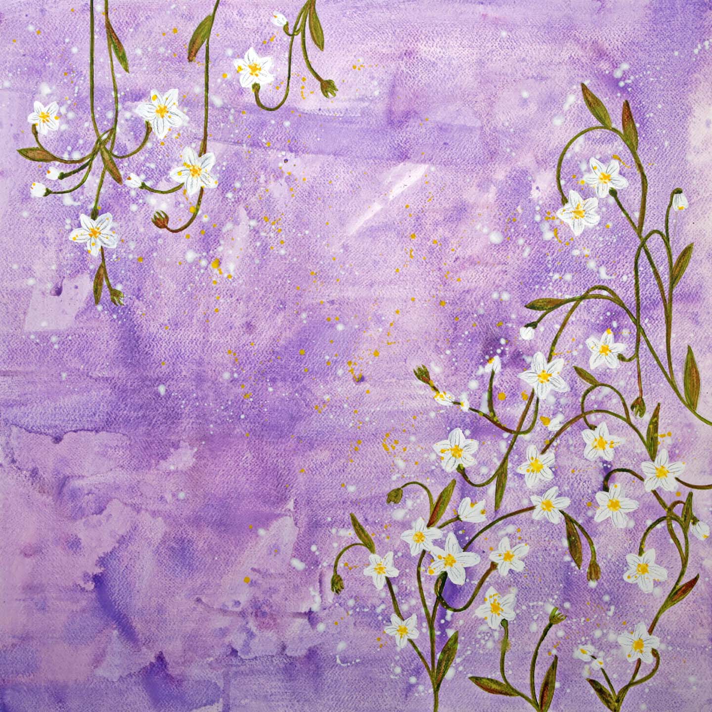 Purple with White Flowers