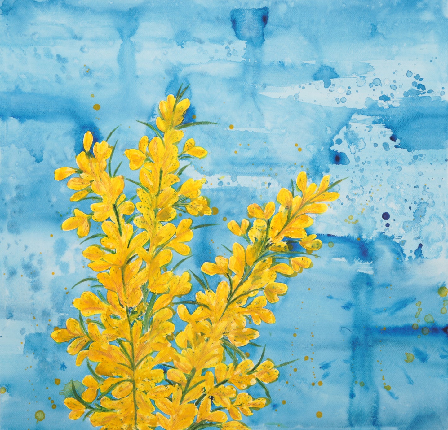 Wild Bog Flower