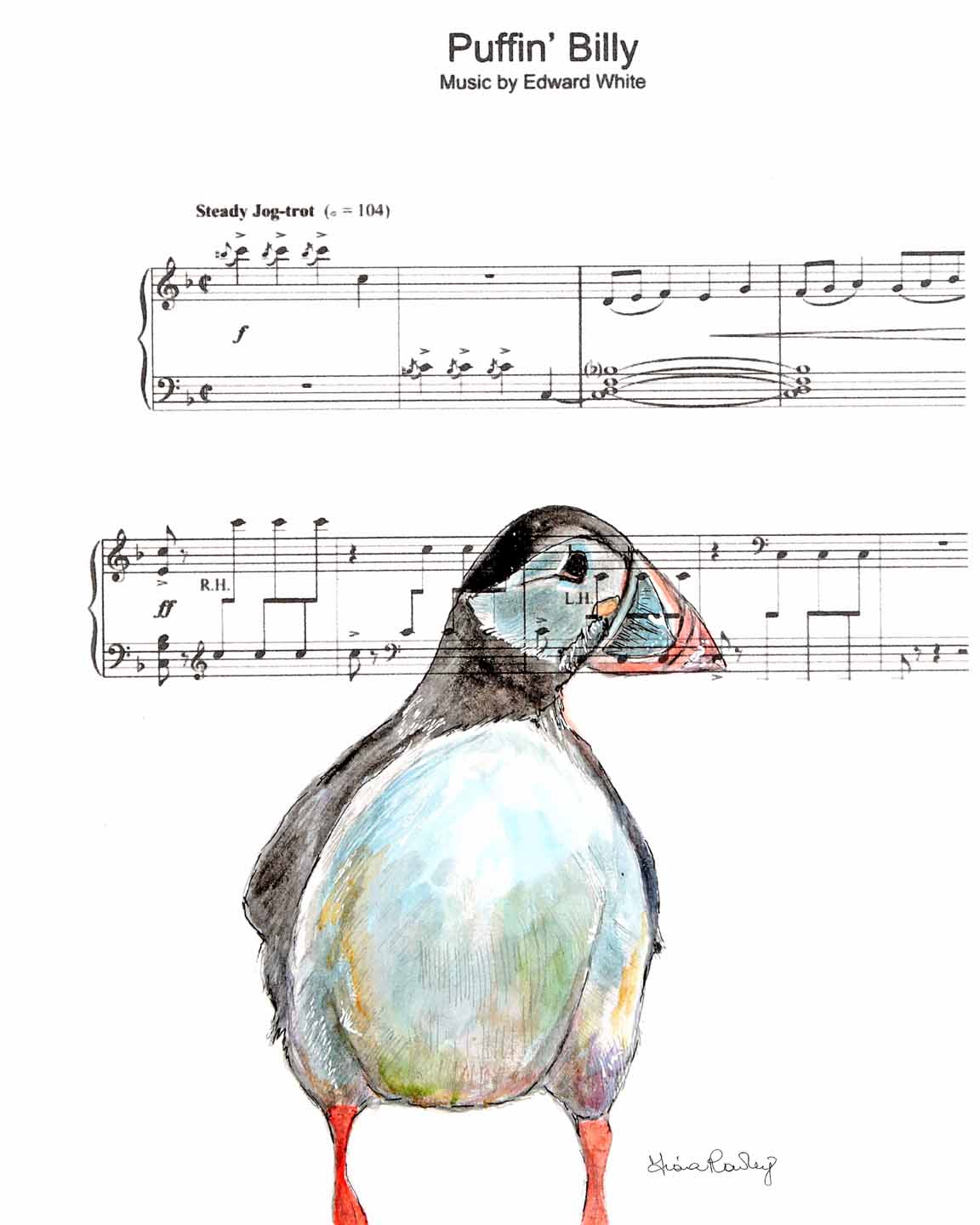 Puffin Song