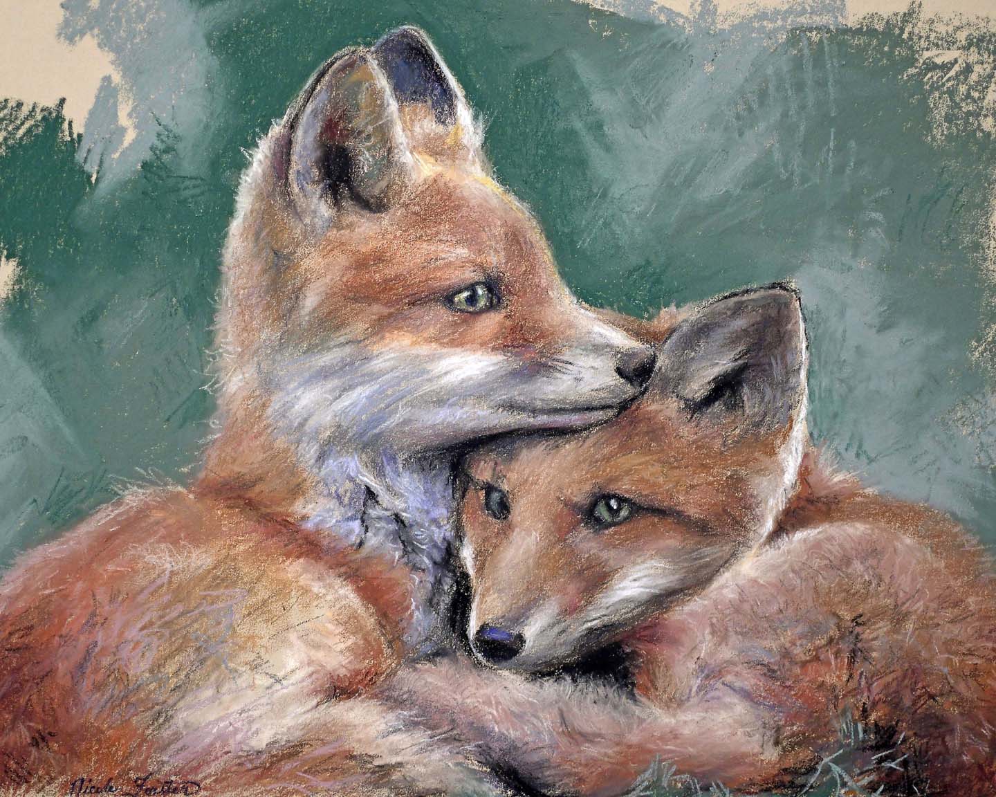 Foxes